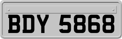 BDY5868