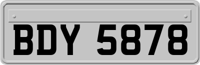 BDY5878