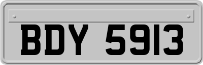 BDY5913