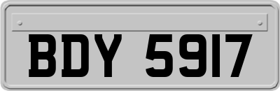 BDY5917