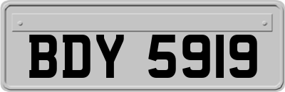 BDY5919