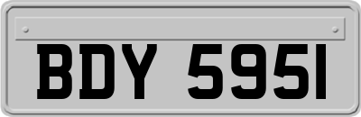 BDY5951