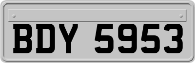 BDY5953