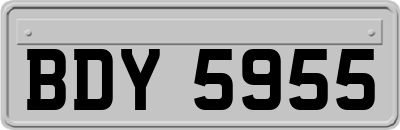 BDY5955
