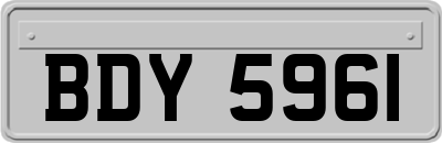 BDY5961