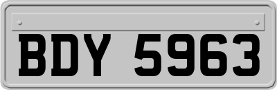 BDY5963