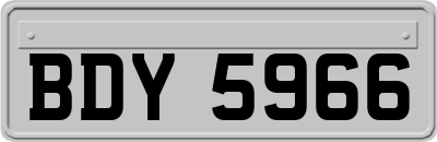 BDY5966