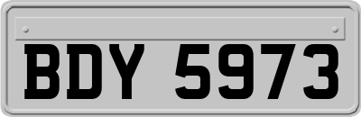 BDY5973