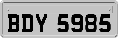 BDY5985