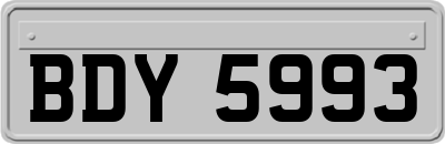 BDY5993