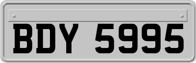 BDY5995