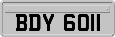 BDY6011