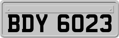 BDY6023