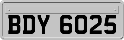 BDY6025