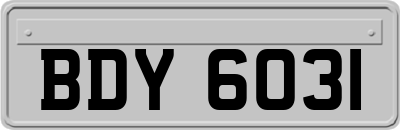 BDY6031