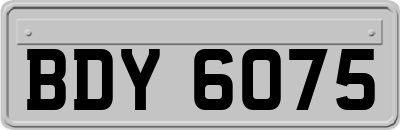 BDY6075