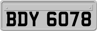 BDY6078