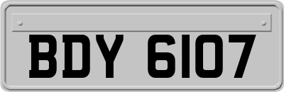 BDY6107