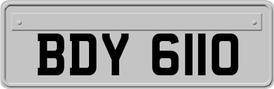 BDY6110