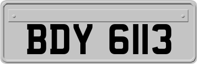 BDY6113