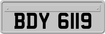 BDY6119