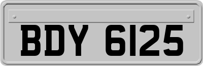 BDY6125