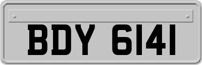 BDY6141