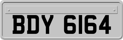 BDY6164