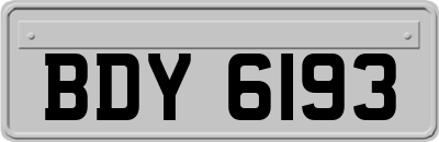 BDY6193
