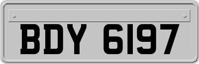 BDY6197