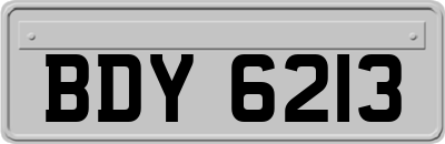 BDY6213