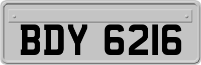 BDY6216