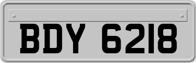 BDY6218