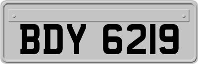 BDY6219