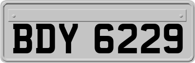 BDY6229