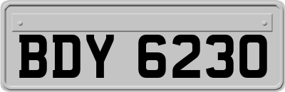 BDY6230