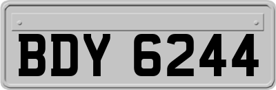 BDY6244