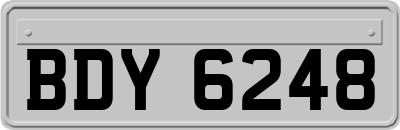 BDY6248