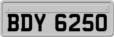 BDY6250
