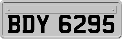 BDY6295