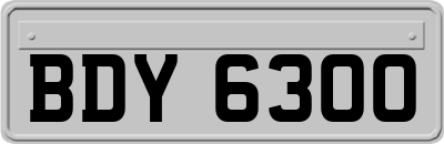 BDY6300