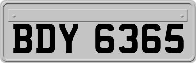 BDY6365