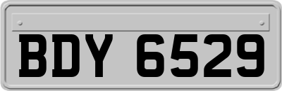 BDY6529