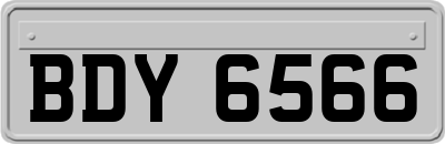 BDY6566