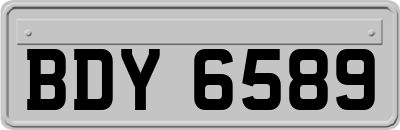 BDY6589