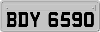 BDY6590
