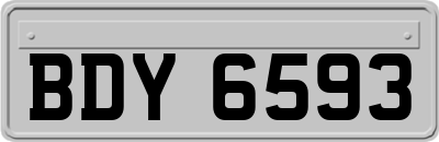 BDY6593
