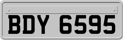 BDY6595