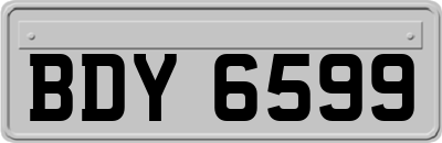 BDY6599