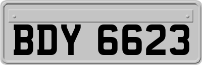 BDY6623
